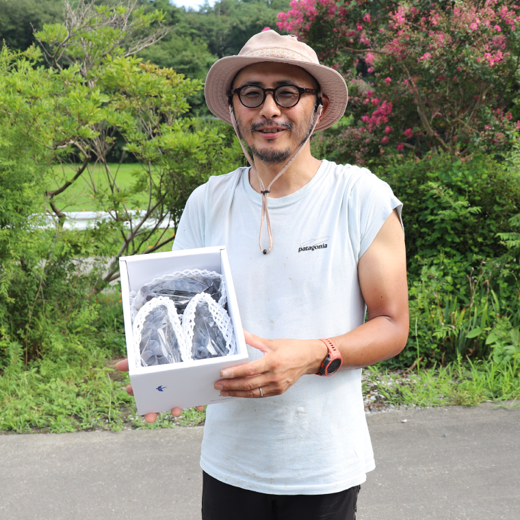【先行予約】＼数量限定 9月発送予定／ ぶどう キャンベルアーリー (3～4房入り) 約1.2kg (EK002)