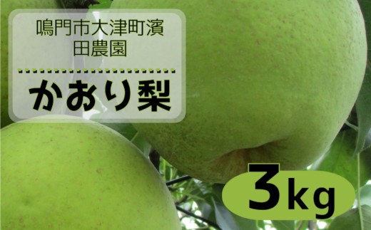 【予約受付中】【9月上旬～中旬より順次発送】 濱田農園 かおり梨 約3kg 【数量限定】