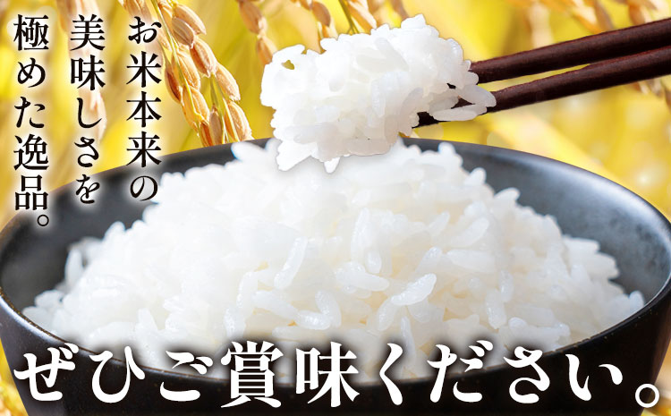 【先行予約】令和8年産 米 ひのひかり5kg 城農園《11月出荷》熊本県 菊池市 ふるさと納税 米 お米 ご飯 ごはん 白ご飯 七城 ひのひかり ヒノヒカリ 令和8年産 菊池米 先行予約 精米 白米