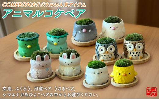 アニマルコケペア アニマル 鉢 置物 インテリア 雑貨 【シマエナガ＆ひよこペア】
