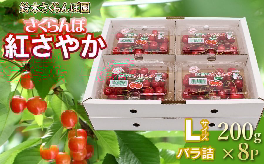 
                  【令和8年産先行予約】 さくらんぼ 紅さやか Lサイズ フードパック 1.6kg（200g×8p） 山形県鶴岡産　鈴木さくらんぼ園
                