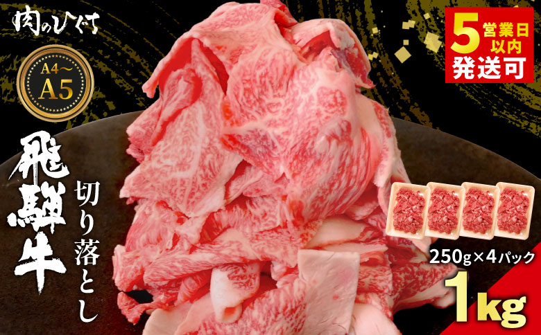 飛騨牛 切り落とし 1kg（250g×4P） A5 A4 国産 牛 黒毛和牛 和牛 牛肉 切落し 切り落し 薄切り 訳あり 牛丼 すき焼き しゃぶしゃぶ 炒め物 東白川村 岐阜 飛騨 贅沢 霜降り ロース バラ もも ウデ 肉のひぐち