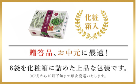 ＜7月発送開始！＞万願寺甘とう　化粧箱入　秀品150g×8袋＜1.2kg＞【2025年発送分】 FCCS001