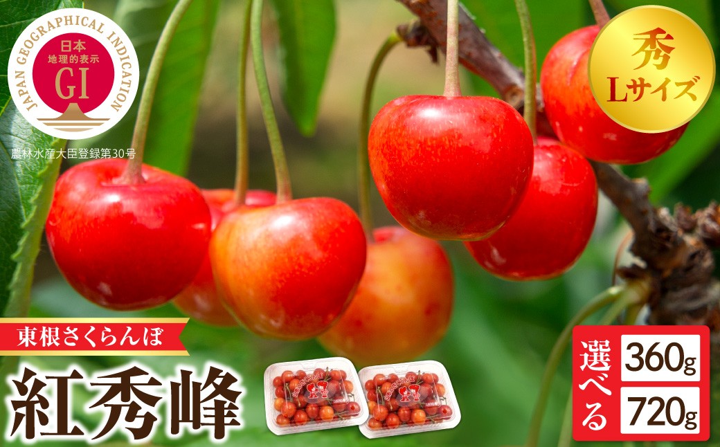 
                  【2027年産 先行受付】 ≪選べる内容量≫ GI 東根さくらんぼ 紅秀峰 秀L以上 【180g×2 (計360g) / 180g×4 (計720g)】 山形県 東根市 FMS提供 hi074-026-r9-o さくらんぼ サクランボ フルーツ くだもの 果物 期間限定 先行受付 ご当地 特産 産地 直送 人気
                