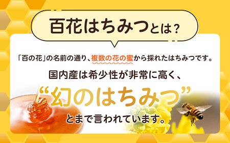 【6ヶ月定期便】日本みつばち 高千穂の純粋蜂蜜 300g×2本 セット 瓶 蜂蜜 はちみつ ハチミツ 百花蜜 自然蜜100% 調味料 定期 はちみつセット 瓶 贈答 贈り物 ギフト プレゼント おすそ