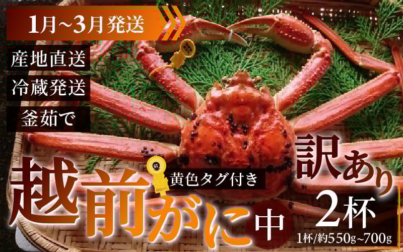 
            【先行予約】【訳あり】 越前がに 中 (約550g～700g)×2杯【1月～3月発送】
          