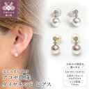 【ふるさと納税】 ピアス ジュエリー アクセサリー レディース ダイヤモンド 0.04ct アコヤ真珠 選べる地金 K18 ホワイトゴールド イエローゴールド シンプル 一粒 ギフト プレゼント ジュエリーケース付 鑑別書付 保証書付 k216-100