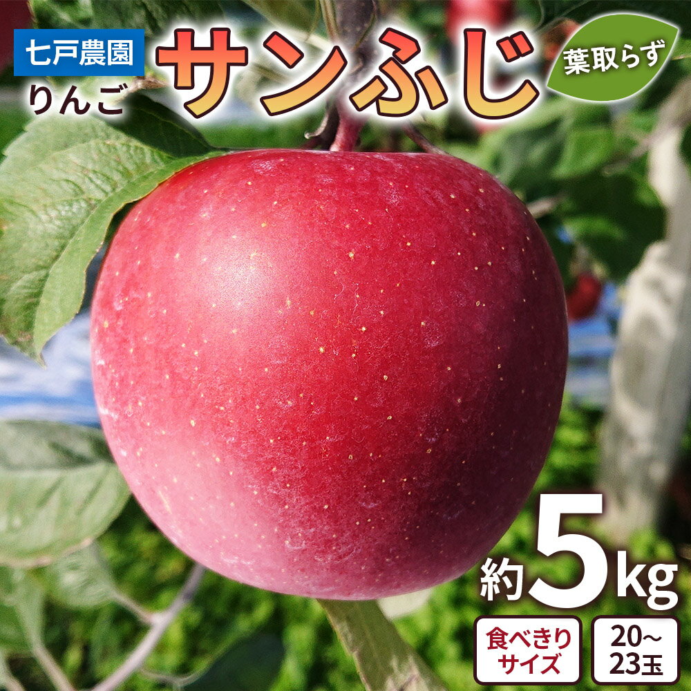 【ふるさと納税】りんご サンふじ 葉取らず 食べきりサイズ 約5kg (20玉から23玉)｜青森産 つがる 青森りんご リンゴ 林檎 フルーツ 果物 令和7年 2025年 [0927]