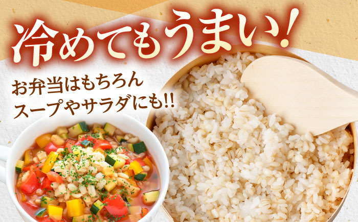 押麦「長崎御島」 1kg×20袋 計20kg / 押麦 押し麦 はだか麦 麦ごはん 雑穀 雑穀米 長崎県産 米 こめ コメ ※ / 諫早市 / 有限会社伊東精麦 [AHBU003]