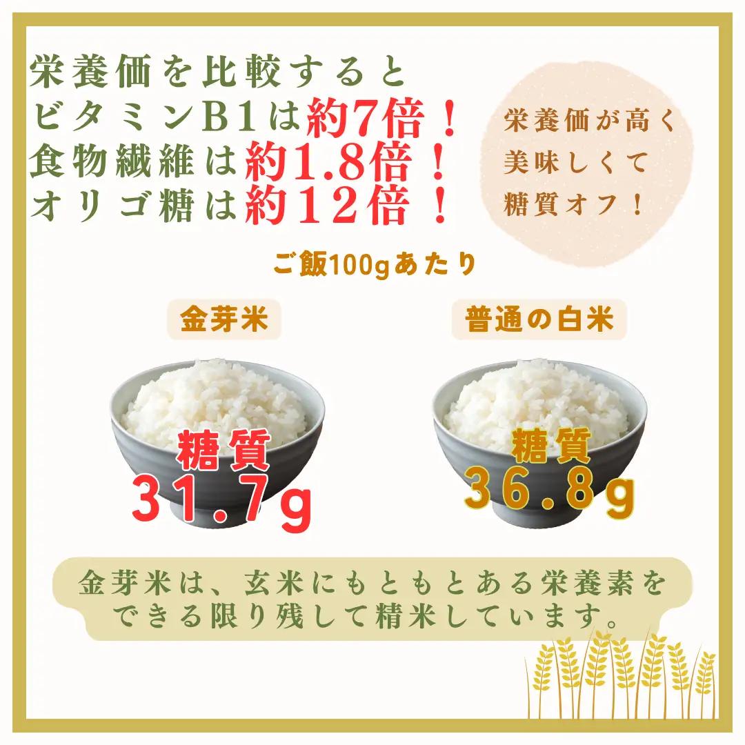 【2026年米 先行予約】金芽米 生坂村産コシヒカリ 無洗米 10kg(5kg×2袋) 長野県産 | コシヒカリ