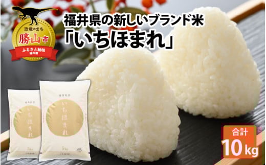 令和7年産 福井県の新しいブランド米 いちほまれ5kg ×2袋（計 10kg） [D-015017]