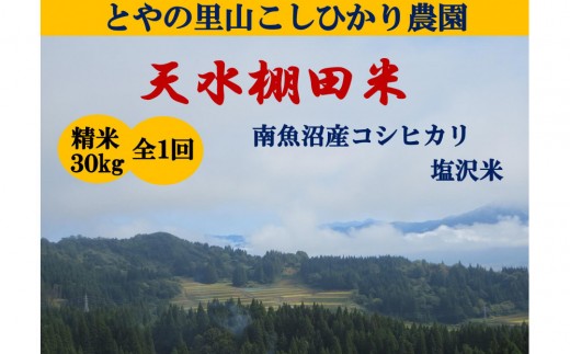 令和8年産新米予約【天水棚田米】雪蔵熟成塩沢産コシヒカリ精米30kg1回「とやの里山継承プロジェクト」【銘柄米 ブランド米 精米 こしひかり コシヒカリ 魚沼産 新潟米 お米 米 こめ】【2026年10月下旬より順次発送予定】