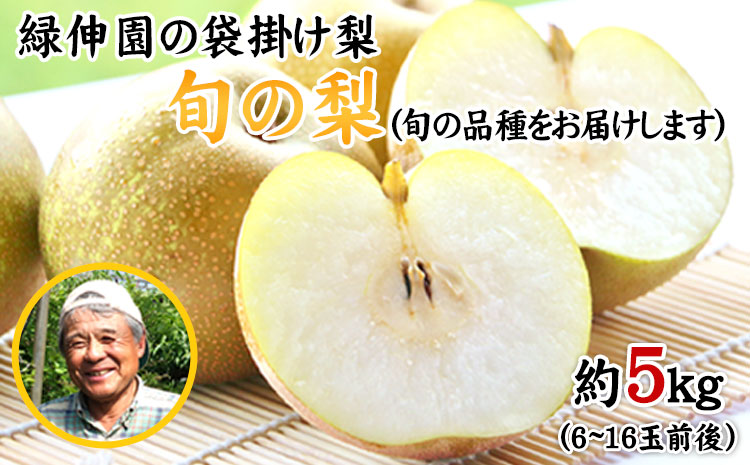 『緑伸園』旬の梨(旬の品種をお届けします！) 《8月中旬-9月下旬頃出荷》 約5kg 6-16玉前後入り 果物---gkt_rke_2_5kg---