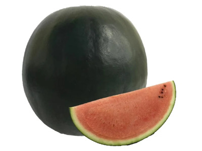 【先行受付：2026年7月発送】信州波田産 贈答用 黒玉スイカ！信州の幕開 【特上】 4L～5Lサイズ 1玉｜ふるさと納税 長野県 信州 松本 果物 フルーツ すいか スイカ 西瓜