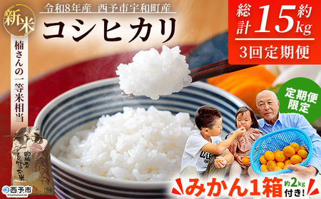 【先行予約】＼みかんもついてくる！／新米 ＜令和8年産 コシヒカリ 約5kg 3回定期便 ＋（定期便のみ）温州みかん2kg 西予市宇和町産＞ 白米 精米 楠さんの一等米相当 選べる 配送回数 お米 ご飯 愛媛県 西予市【常温】『2026年9月上旬から順次出荷予定』 UKK0005