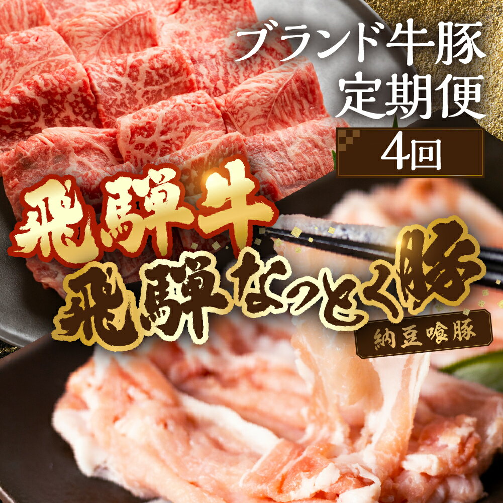 【ふるさと納税】【定期便4回】 飛騨牛＆納豆喰豚 お楽しみ定期便（しゃぶしゃぶ用、焼肉用）天狗 なっとく豚 飛騨牛 牛 牛肉 焼き肉 しゃぶしゃぶ 食べ比べ 定期便 4カ月 定期下呂温泉 おすすめ 豚肉 なっとくとん ブランド豚 国産 ギフト 47000円 50000円 5万円