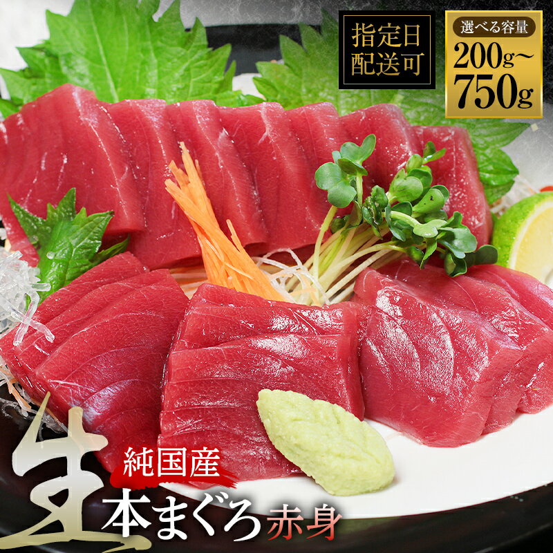 【ふるさと納税】【冷蔵・指定日着可】国産 生本マグロ 赤身 200g～750g（柵どり/ 送料 無料 福井県 越前市 鮪 未冷凍 生まぐろ 生マグロ 本鮪 新鮮 お刺身 おさしみ お造り 切り身 切身 海鮮 海鮮丼 まぐろ丼 発送時期が選べる (18209）