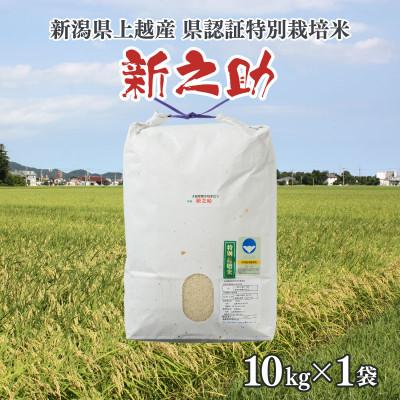 ふるさと納税 上越市 令和7年産/新潟県上越産ブランド米「新潟県認証特別栽培米・新之助」精米10kg