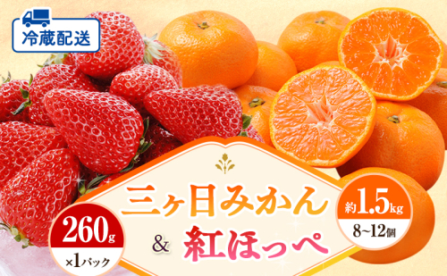 【2026年1月中旬より順次発送】 フルーツセット 紅ほっぺ 1パック 三ヶ日みかん 1.5kg セット 詰め合わせ 青島みかん みかん いちご 苺 果物 旬のフルーツ 旬の果物 静岡 静岡県 浜松市 【配送不可：離島】