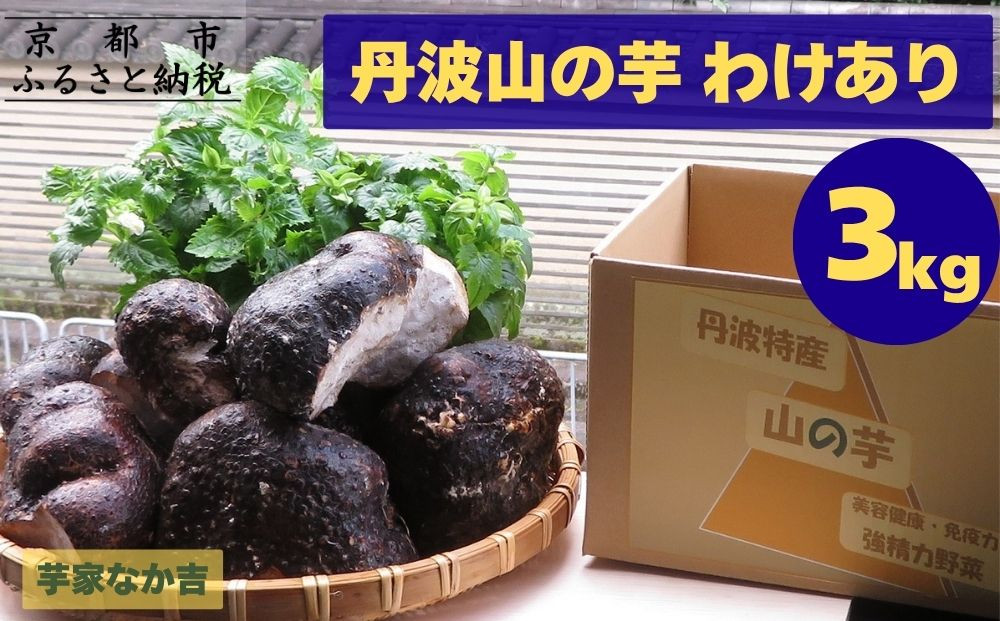 【芋家なか吉】丹波山の芋 わけあり 3キロ ［ 京都 山の芋専門店 職人 とろろ 芋 いも イモ 野菜 3kg 不揃い 事業者応援品 応援 人気 おすすめ お取り寄せ 通販 送料無料 ふるさと納税 ］