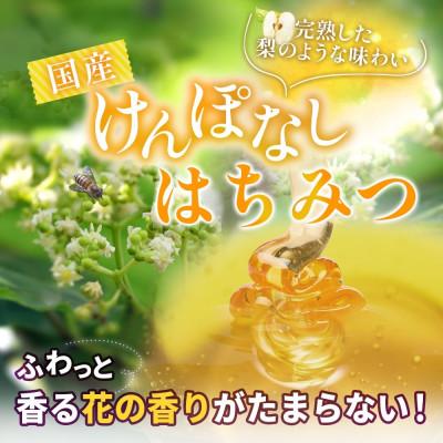 ふるさと納税 盛岡市 藤原国産蜂蜜 けんぽなし 計240g 完熟 単花蜜 藤原養蜂場 岩手県盛岡市 |  | 01