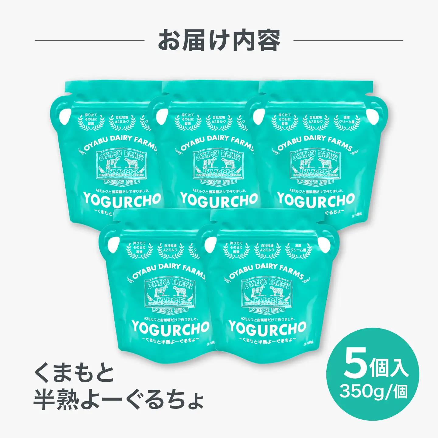 くまもと半熟よーぐるちょ 350g×5個 オオヤブデイリーファーム ヨーグルト 濃厚ヨーグルト AYAE004