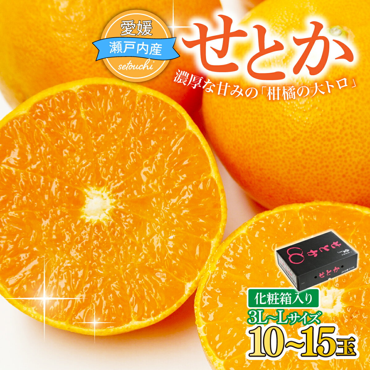 【ふるさと納税】【先行受付】せとか 3L～Lサイズ 10～15玉 化粧箱 2027年2月から順次発送 果物 くだもの フルーツ みかん 柑橘 ミカン せとか