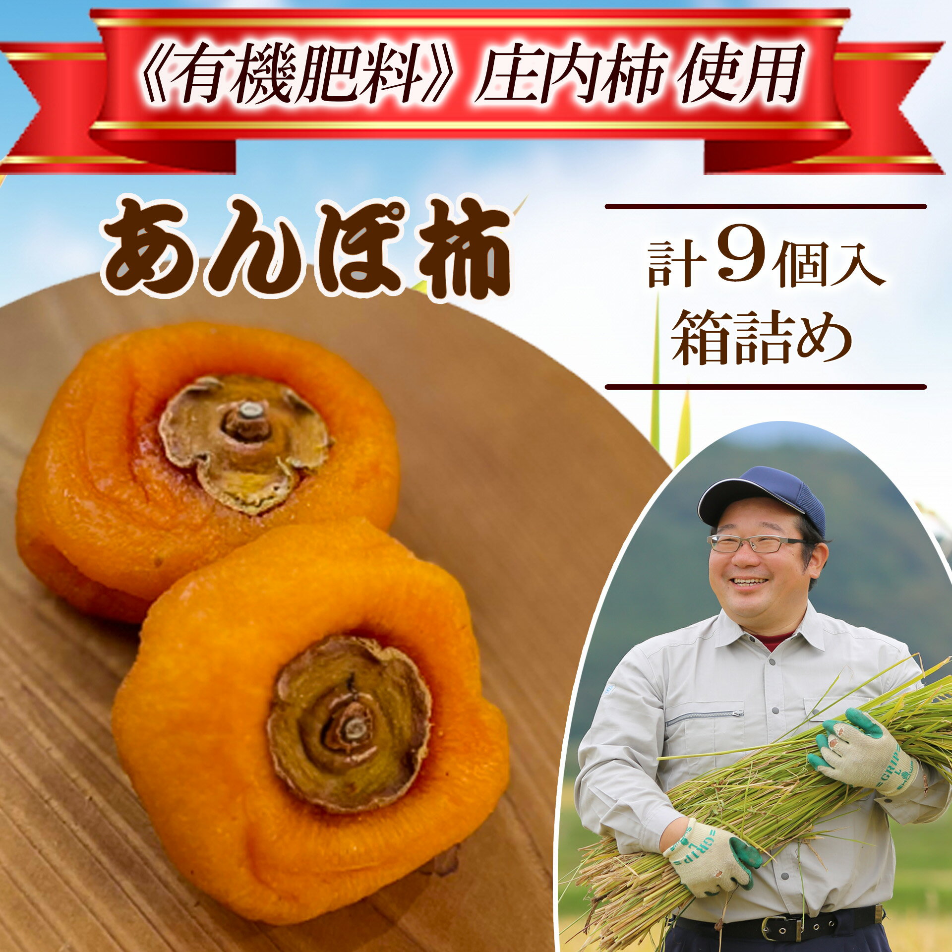 【ふるさと納税】庄内あんぽ柿 3個×3袋 計9個 干し柿 あんぽ柿 庄内柿 ドライフルーツ 手作り とろける 東北 山形県 酒田市 庄内