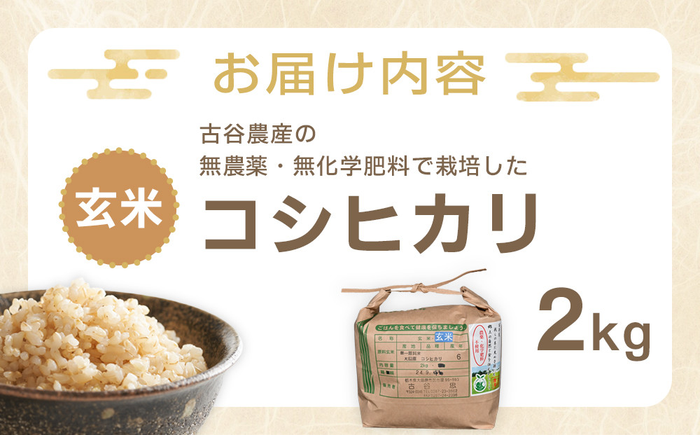 【令和7年産米 数量限定】古谷農産の無農薬・無化学肥料で栽培したコシヒカリ（玄米2キロ） ｜米 コメ 新米 2kgコシヒカリ こしひかり 農家直送 産地直送 産直