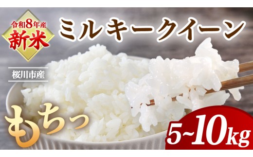 
                  《 令和8年産 》 桜川市産 ミルキークイーン 5kg 10kg 新米 先行予約 茨城県 桜川市 米 お米 白米 コメ ごはん 精米 国産 限定 銘柄米 [SC071sa00]
                