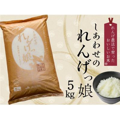 ふるさと納税 交野市 しあわせのれんげっ娘5kg(精米)