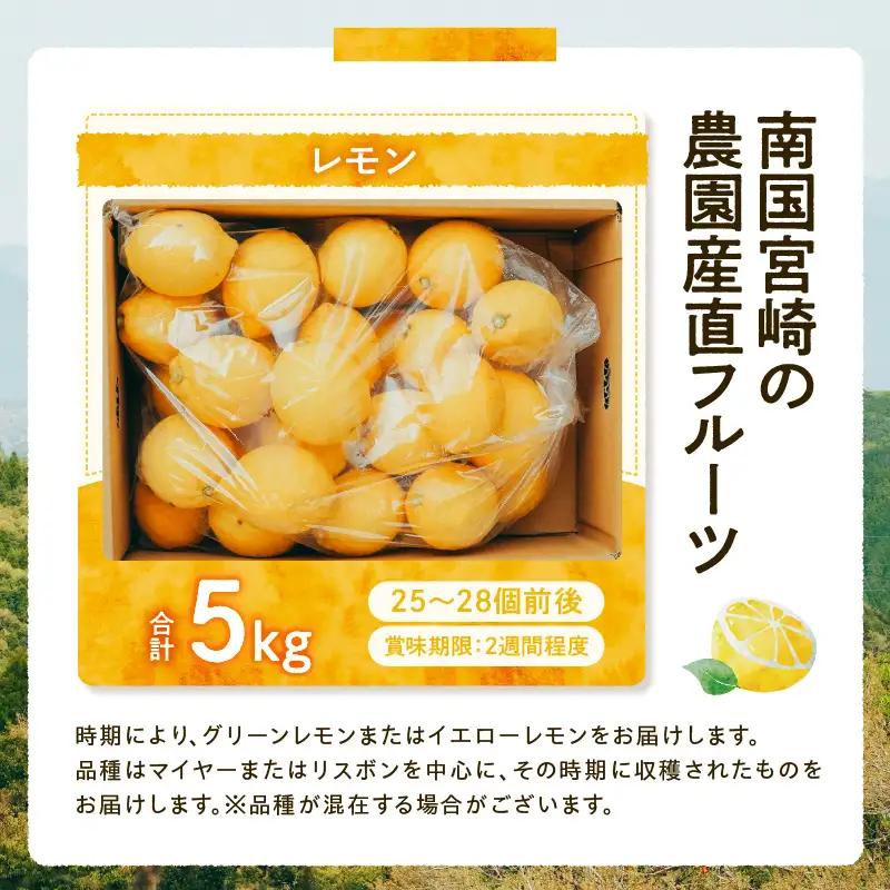 フルーツ レモン フルーツ [産地直送 数量限定 柑橘 先行予約]