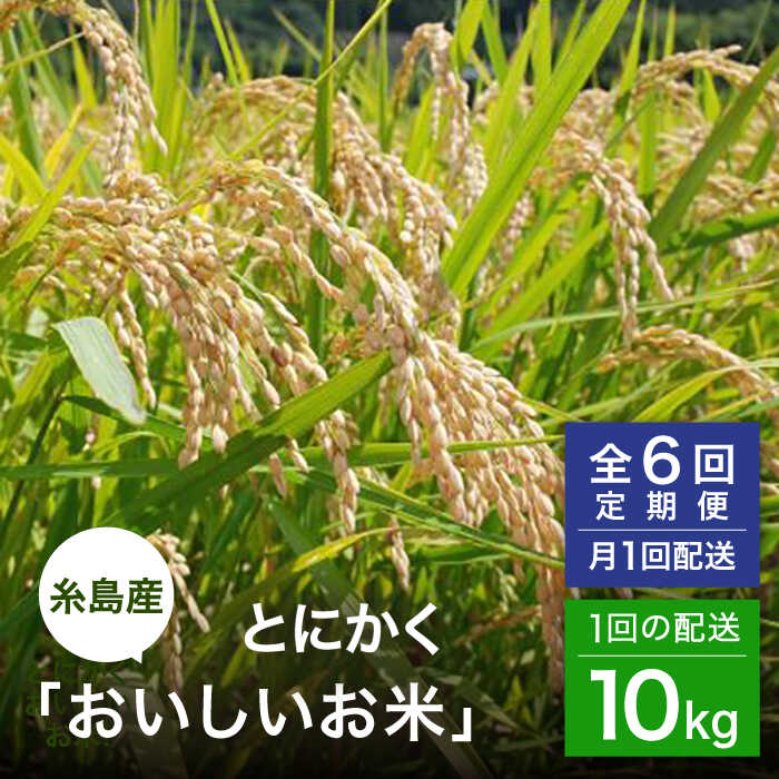 【ふるさと納税】【全6回(月1)定期便】 とにかくおいしいお米 夢つくし 10kg 糸島市 / シーブ [AHC051] 米 定期便20万円219000円
