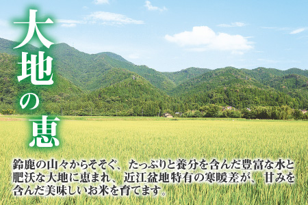 【令和5年産】キヌヒカリ10kg（5kg × 2袋） おいしい多賀のお米