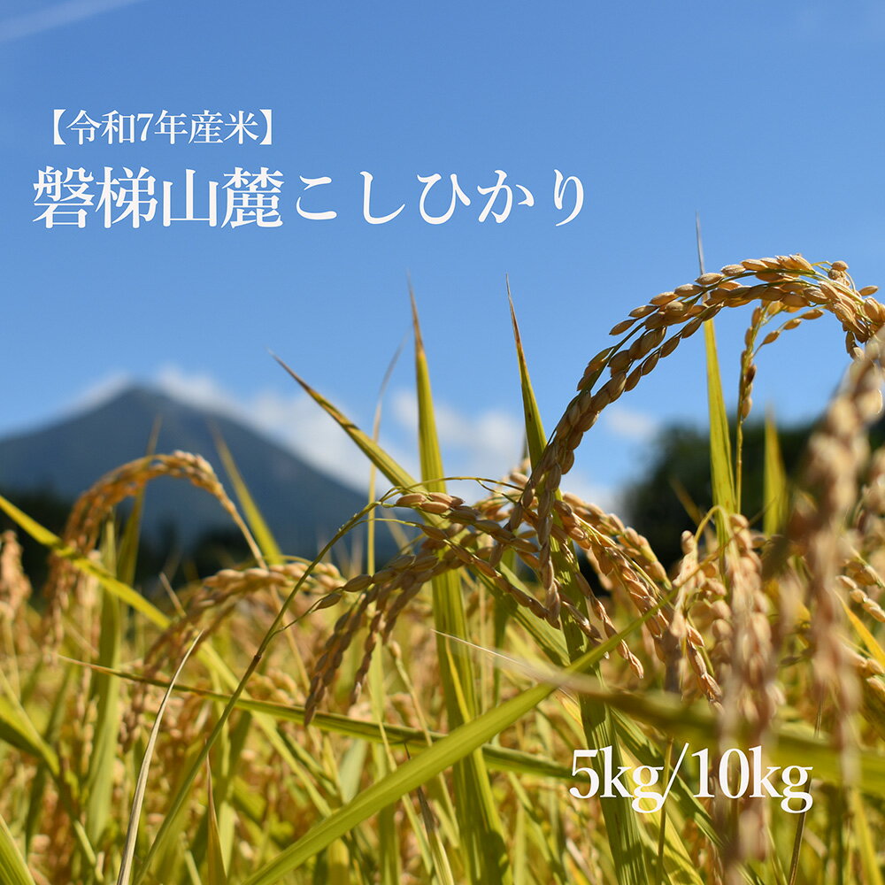 【ふるさと納税】【数量限定】令和7年産コシヒカリ　5kg／10kg　磐梯山麓こしひかり　精米
