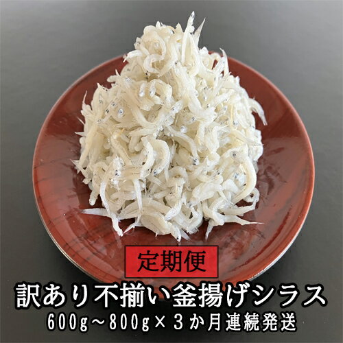 【ふるさと納税】【定期便】訳あり不揃い釜揚げシラス（パック）3か月連続発送 訳あり不揃い　 釜揚げしらす　毎月お届け　 冷凍配送