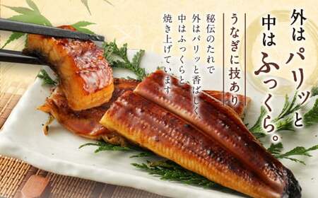【丑の日／配達日指定可能】九州産 うなぎ 蒲焼 大 2尾 (1尾あたり160～189g)