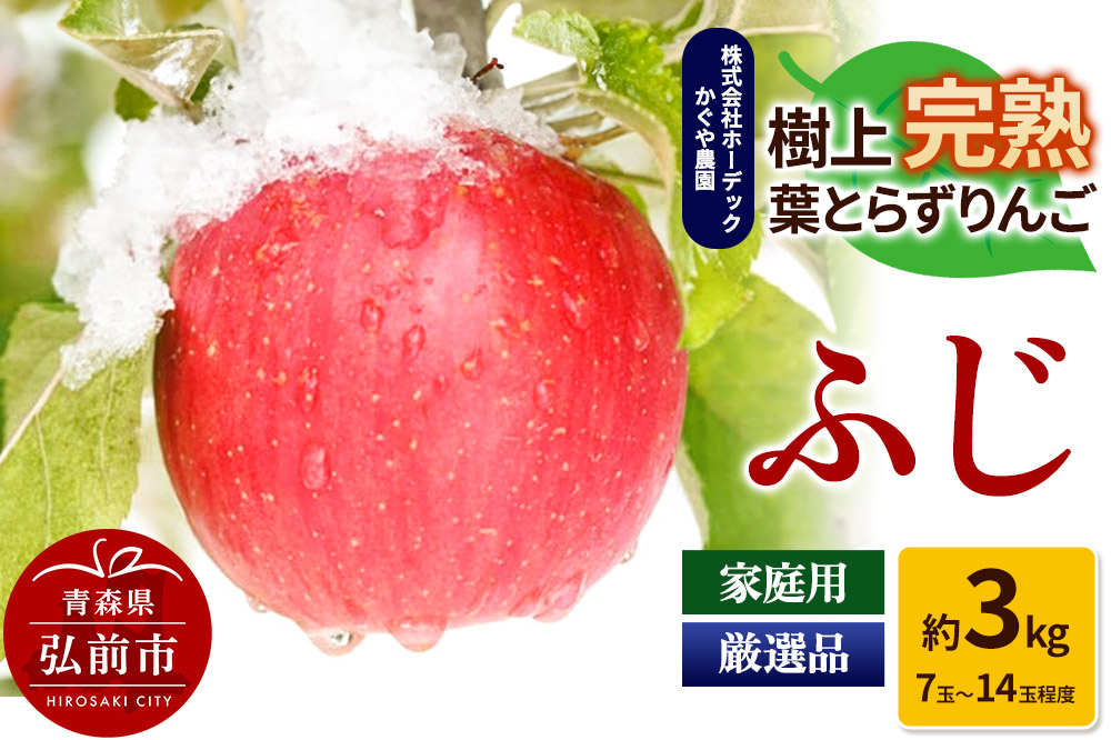 
            りんご ふじ 約3kg（7玉～14玉程度）樹上完熟葉とらず【家庭用】厳選品 青森県産 りんご
          