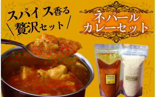 ティハールのネパールカレーセット ２人分　【 カレー ネパールカレー カレールー カレーセット 手作り ヴィーガン アレンジ ジャスミン米 スパイス 手づくり セット 国産 レトルト 個包装 保存 贈り物 おすすめ 】　
