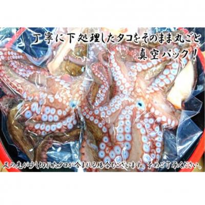 ふるさと納税 国東市 船上活き締め!生たこ丸ごと約1kg(約1〜4杯)_1810R |  | 01