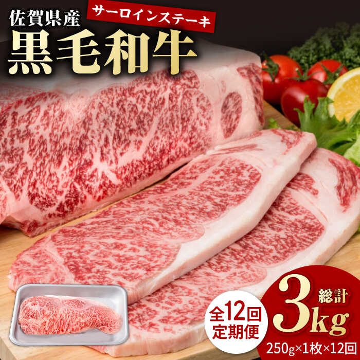 【ふるさと納税】【12回定期便】佐賀県産 黒毛和牛 贅沢 サーロイン ステーキ 250g×1枚【株式会社いろは精肉店】佐賀産和牛 ステーキ肉 お肉 肉 牛肉 冷凍 和牛 国産 人気 おすすめ [IAG086]