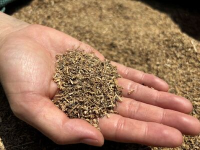 竹チップ 枯竹 細目 60Lマルチング材 防草対策 竹の絨毯(R) エクステリア用』｜竹チップ コンポスト マルチング材 堆肥用 雑草対策 防草対策 [0612]