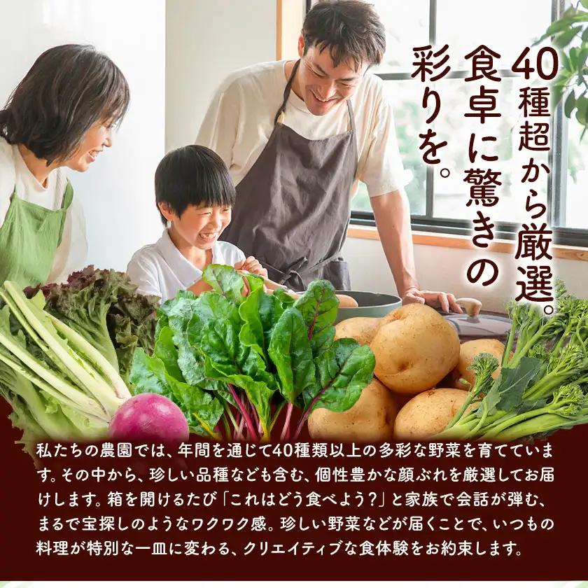 野菜 季節の野菜 10品 詰め合わせ セット ほのぼのしいば農園《9月上旬-2月下旬頃出荷》