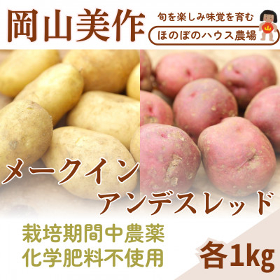 
                  岡山県美作産じゃがいも食べ比べセット(アンデスレッド&メークイン)　各1kg【1524206】
                