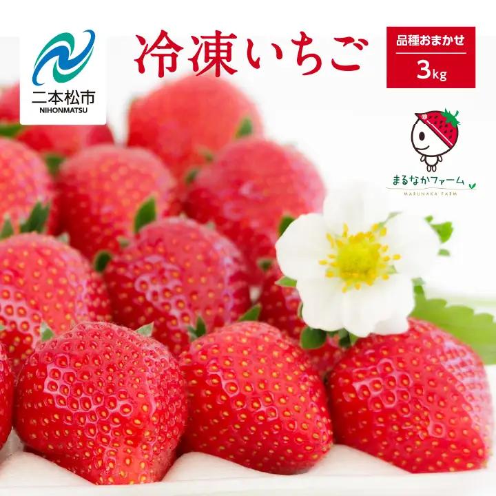 いちご 完熟冷凍いちご 3kg