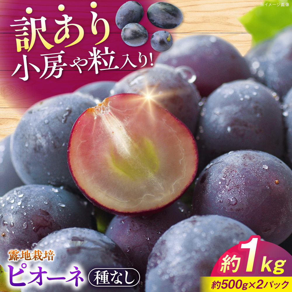 【訳あり】ピオーネ 約1kg（約500g×2パック）露地栽培 ぶどう 果物 ピオーネ フルーツ 葡萄 ブドウ 三次市/西田ぶどう園 [APCM006]