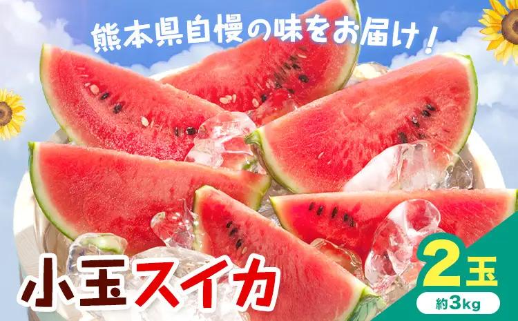 【先行予約】小玉スイカ 2玉 約3㎏ 日本フルーツ株式会社 《4月中旬-7月下旬頃出荷》 こだますいか 西瓜 すいか フルーツ 果物 くだもの 旬 熊本県 菊池市 熊本県産 くまもと