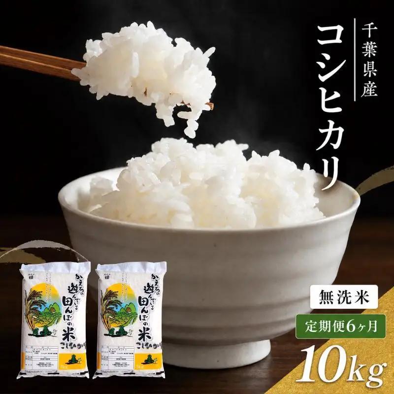 コシヒカリ 無洗米 令和7年 千葉県産 コシヒカリ【10kg×6ヶ月】【定期便】