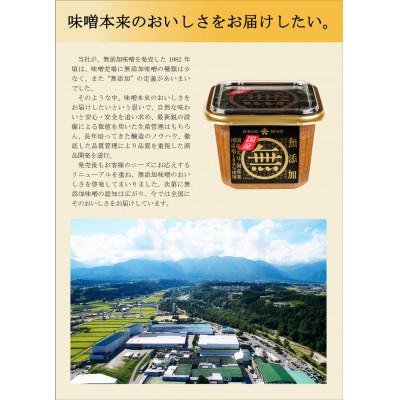 ふるさと納税 飯島町 マル無　国産　750g×8個 |  | 03