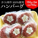 【ふるさと納税】ハンバーグ 150g×5個（合計750g）栃木県産 さくら和牛100% 冷凍 牛肉 牛 ビーフ 冷凍ハンバーグ 個別 真空 ギフト